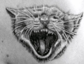 Фото, значение в магии татуировки " Кот. Кошка. Котенок. " - Страница 2 X_932ba1cb